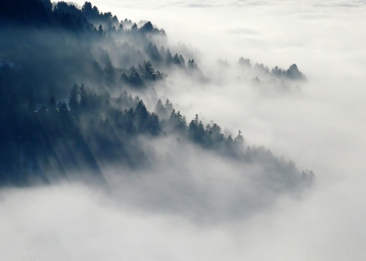 mountain, forest, clouds-547363.jpg